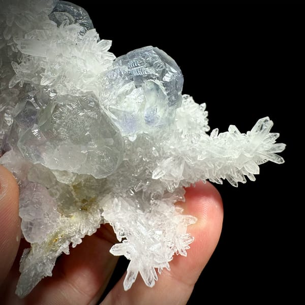 Flower of clear quartz needles with pale blue fluorite cubes from Fujian, China, close-up of the crystal faces