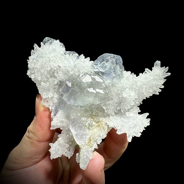 Flower of clear quartz needles with pale blue fluorite cubes from Fujian, China, reverse side