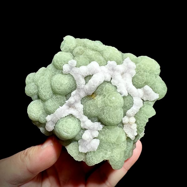 Pale green fluorite balls under lattice of white fluorite from Henan, China, top view