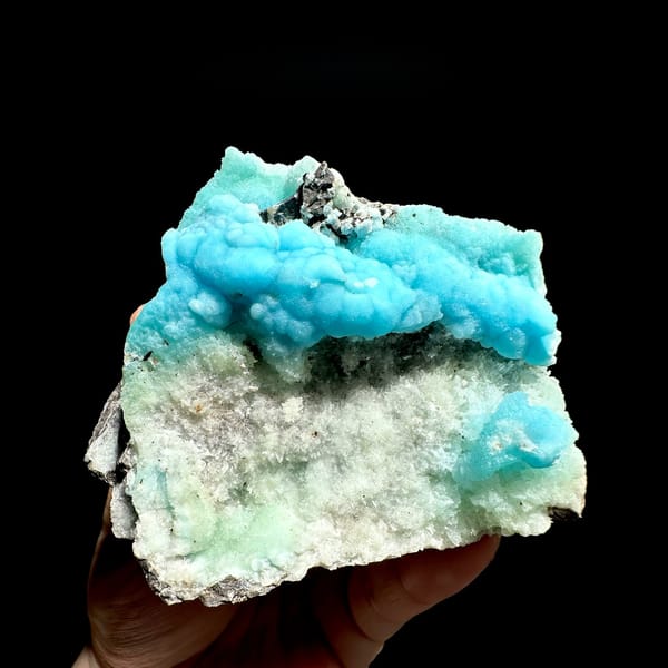Turquoise botryoidal aragonite over pale green aragonite from Yunnan, China, held in hand