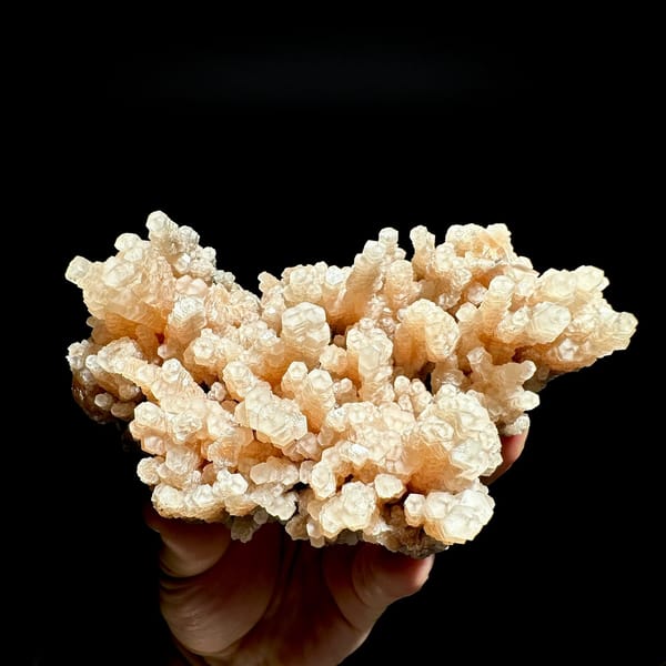 Coral-like cluster of peach tower calcite crystals from Fujian, China, held in hand