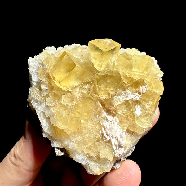 Glassy honey-yellow fluorite cubes with white baryte from Beijing, China, second angle