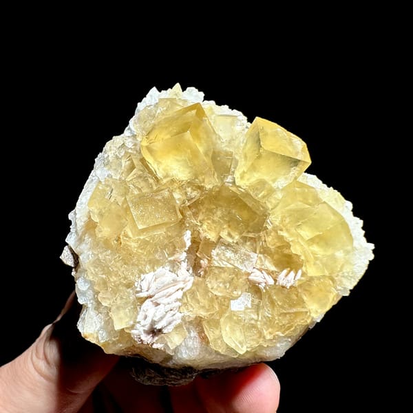 Glassy honey-yellow fluorite cubes with white baryte from Beijing, China, close-up of the crystal faces