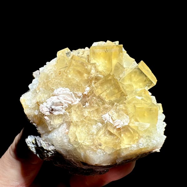Glassy honey-yellow fluorite cubes with white baryte from Beijing, China, reverse side