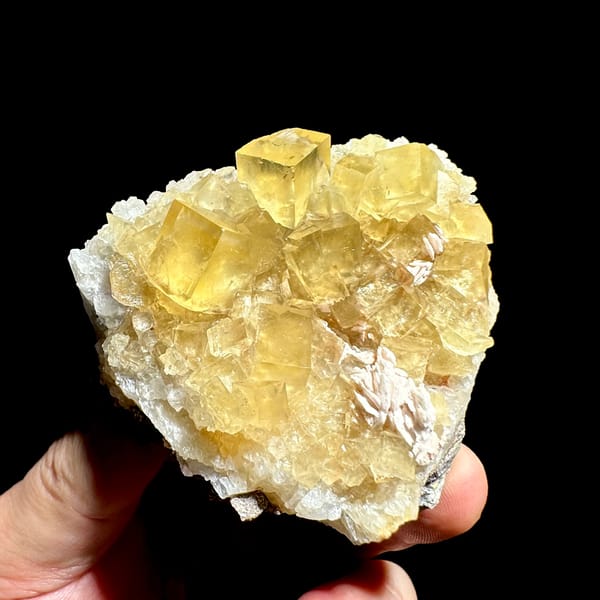 Glassy honey-yellow fluorite cubes with white baryte from Beijing, China, top view