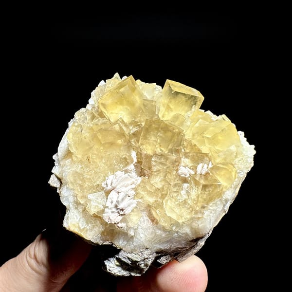 Glassy honey-yellow fluorite cubes with white baryte from Beijing, China, detail of the matrix contact