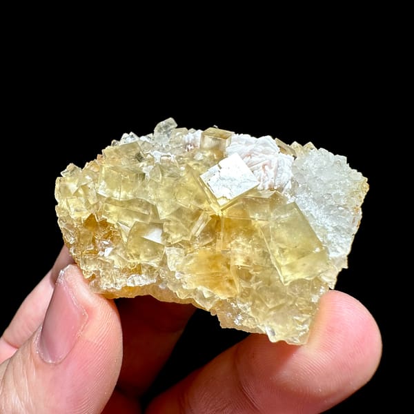 Glassy yellow fluorite cubes with white baryte tuft from Beijing, China, second angle