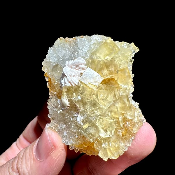 Glassy yellow fluorite cubes with white baryte tuft from Beijing, China, reverse side