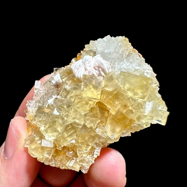 Glassy yellow fluorite cubes with white baryte tuft from Beijing, China, top view