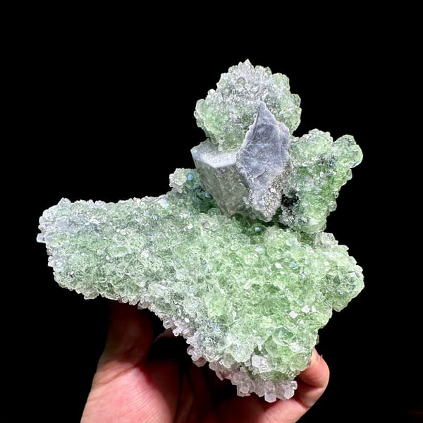 Large frosted calcite crystal on pale green fluorite and quartz from Fujian, China, reverse side