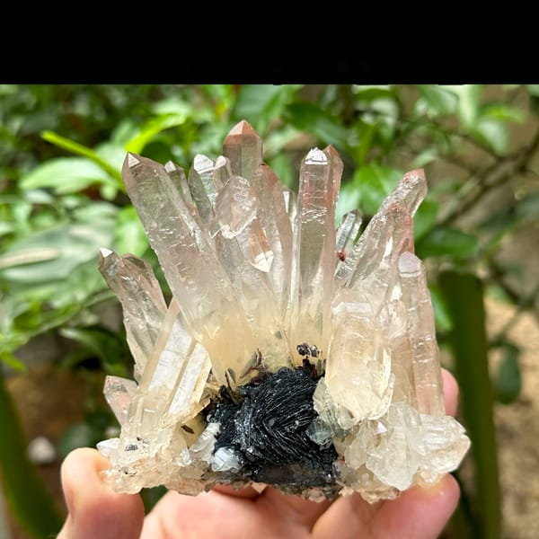 Burst of mango-toned quartz crystals on black specular hematite from Guangdong, China