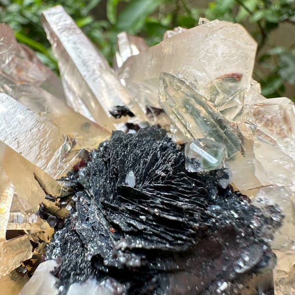 Burst of mango-toned quartz crystals on black specular hematite from Guangdong, China, second angle