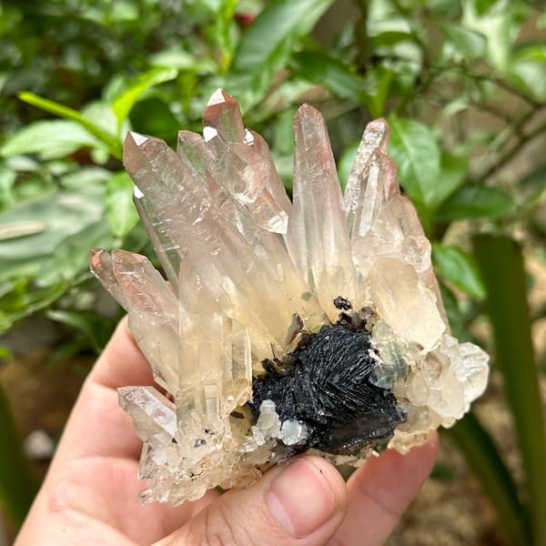 Burst of mango-toned quartz crystals on black specular hematite from Guangdong, China, close-up of the crystal faces