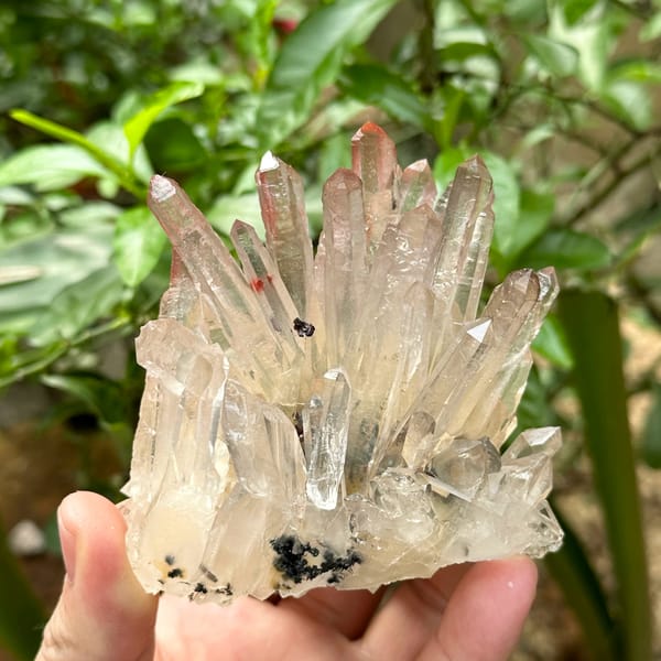 Burst of mango-toned quartz crystals on black specular hematite from Guangdong, China, reverse side