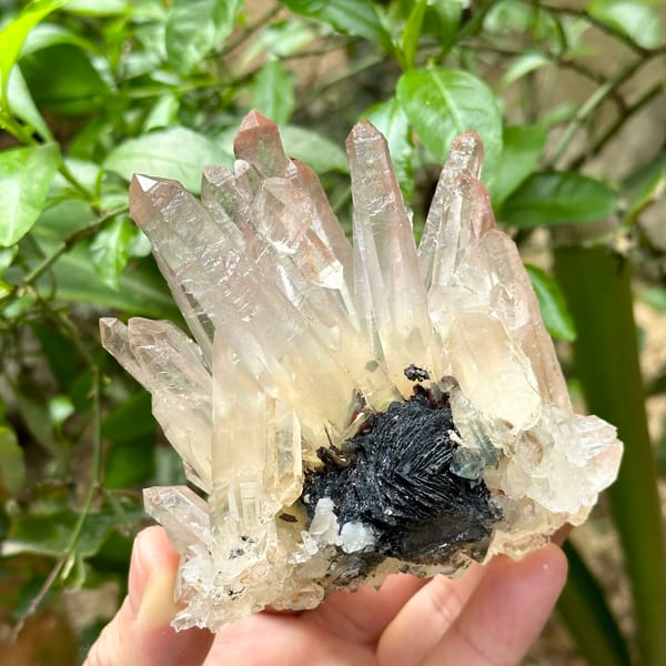 Burst of mango-toned quartz crystals on black specular hematite from Guangdong, China, top view