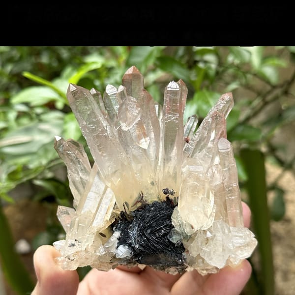 Burst of mango-toned quartz crystals on black specular hematite from Guangdong, China, detail of the matrix contact