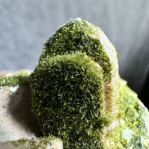 Lime-green epidote-coated feldspar prism on white base from Yunxiao, Fujian, China, second angle
