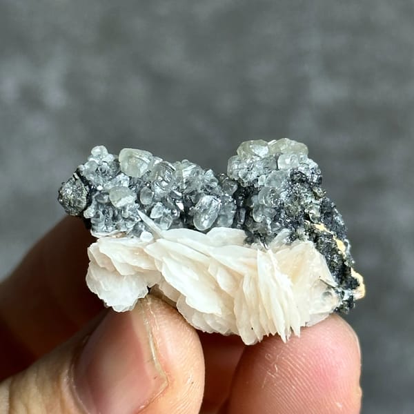 Peach baryte petal-fan on dark matrix with cerussite from Morocco, close-up of the crystal faces
