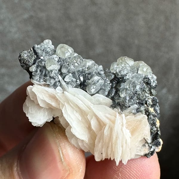 Peach baryte petal-fan on dark matrix with cerussite from Morocco, reverse side
