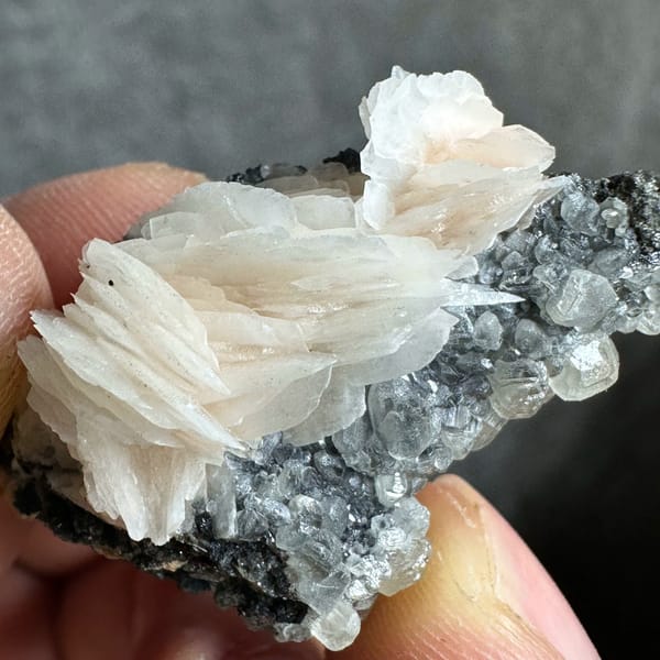 Peach baryte petal-fan on dark matrix with cerussite from Morocco, top view