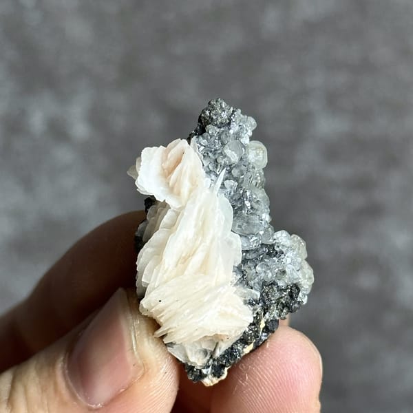 Peach baryte petal-fan on dark matrix with cerussite from Morocco, detail of the matrix contact