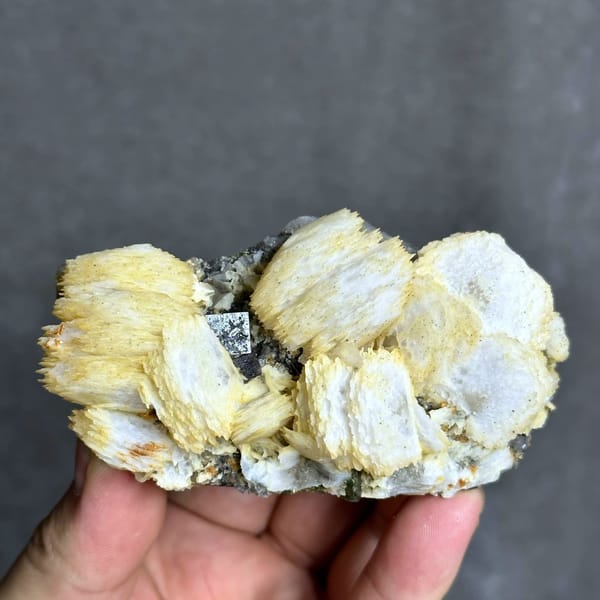 Cream calcite rosettes with fluorite cube and chalcopyrite from Yaogangxian Mine, Hunan, China