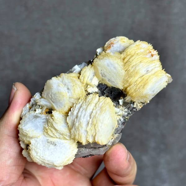 Cream calcite rosettes with fluorite cube and chalcopyrite from Yaogangxian Mine, Hunan, China, close-up of the crystal faces