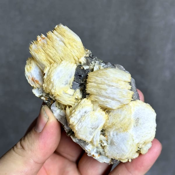 Cream calcite rosettes with fluorite cube and chalcopyrite from Yaogangxian Mine, Hunan, China, reverse side