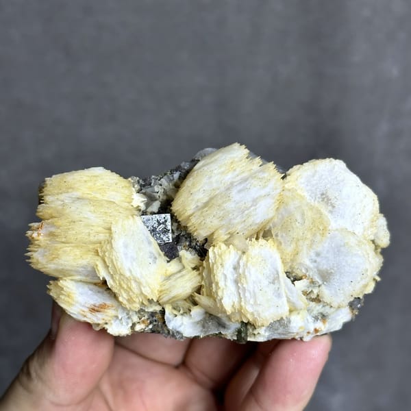 Cream calcite rosettes with fluorite cube and chalcopyrite from Yaogangxian Mine, Hunan, China, detail of the matrix contact