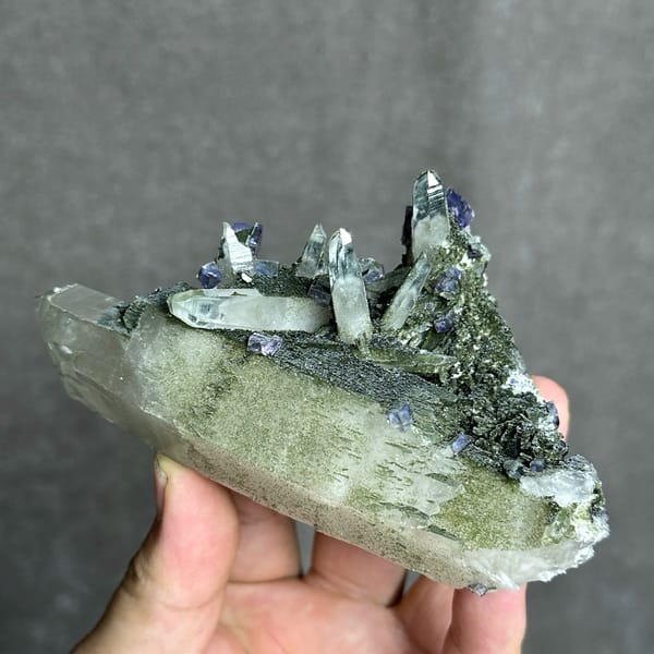 Large chlorite quartz with purple fluorite cubes and wolframite from Yaogangxian Mine, Hunan, China