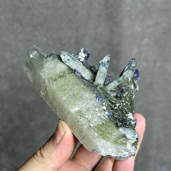 Large chlorite quartz with purple fluorite cubes and wolframite from Yaogangxian Mine, Hunan, China, second angle