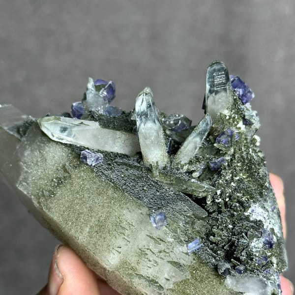 Large chlorite quartz with purple fluorite cubes and wolframite from Yaogangxian Mine, Hunan, close-up of the crystal faces