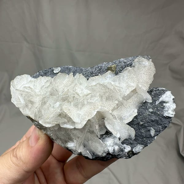 Frosted white calcite crystals on dark pyrite-dusted plate from Fujian, China, held in hand