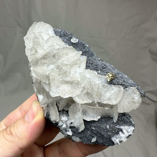 Frosted white calcite crystals on dark pyrite-dusted plate from Fujian, China, reverse side