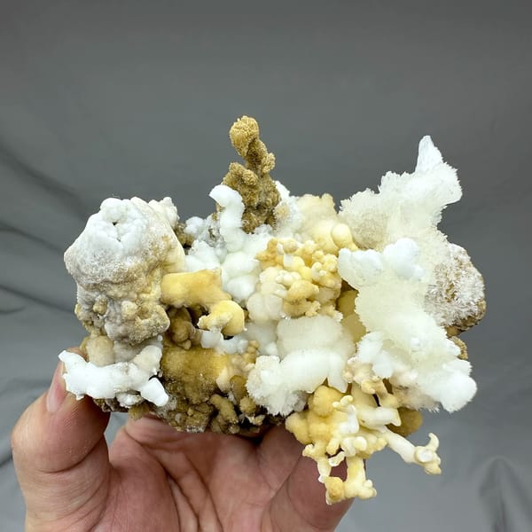 Yellow and white aragonite branches like a coral garden from Guizhou, China, held in hand