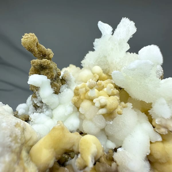 Yellow and white aragonite branches like a coral garden from Guizhou, China, second angle