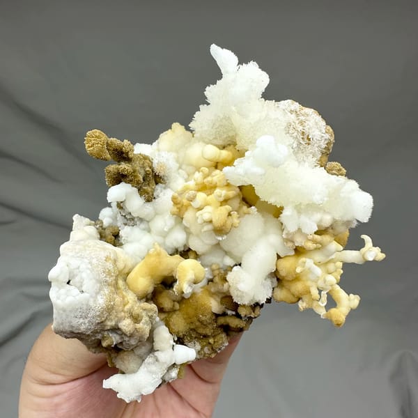 Yellow and white aragonite branches like a coral garden from Guizhou, China, close-up of the crystal faces
