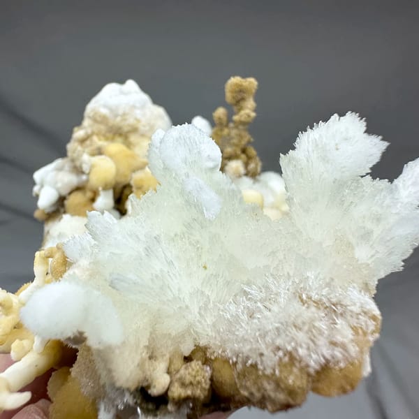 Yellow and white aragonite branches like a coral garden from Guizhou, China, reverse side