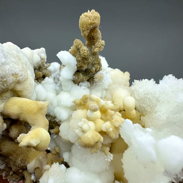 Yellow and white aragonite branches like a coral garden from Guizhou, China, top view