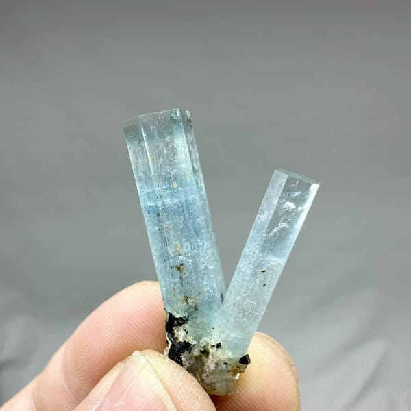 Two sky-blue aquamarine prisms with black tourmaline from Namibia, held in hand