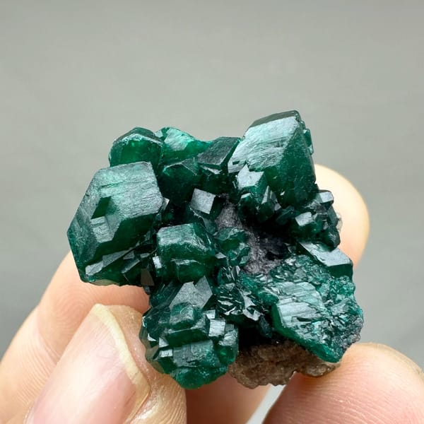Cluster of gemmy emerald-green dioptase crystals from DR Congo, held in hand