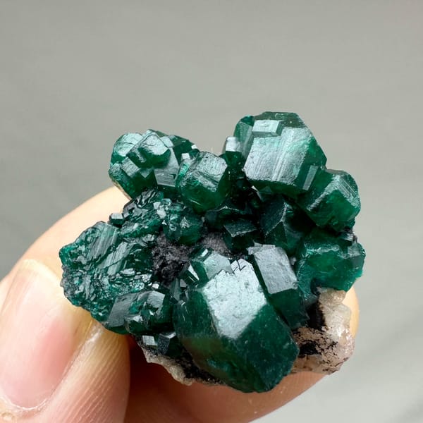 Cluster of gemmy emerald-green dioptase crystals from DR Congo, second angle