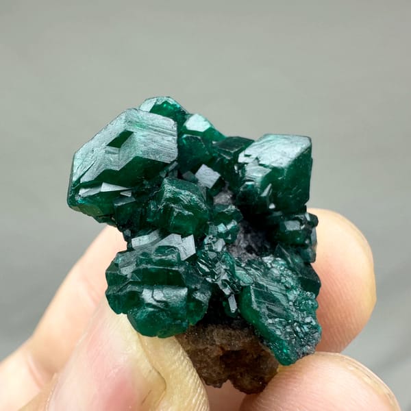 Cluster of gemmy emerald-green dioptase crystals from DR Congo, close-up of the crystal faces