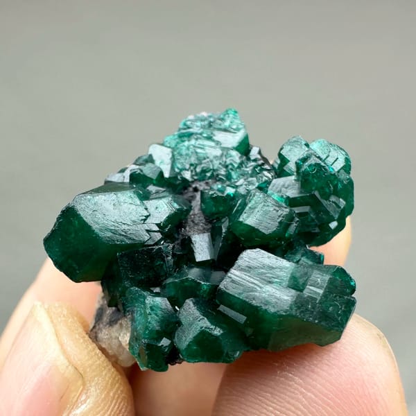 Cluster of gemmy emerald-green dioptase crystals from DR Congo, reverse side
