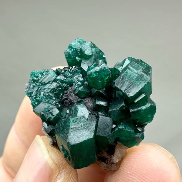Cluster of gemmy emerald-green dioptase crystals from DR Congo, top view