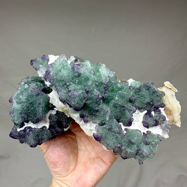 Purple and green stepped octahedral fluorite over white quartz from Zhejiang, China, held in hand