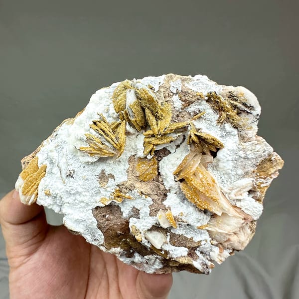 Golden baryte rosettes and white aragonite with mimetite from Morocco, held in hand