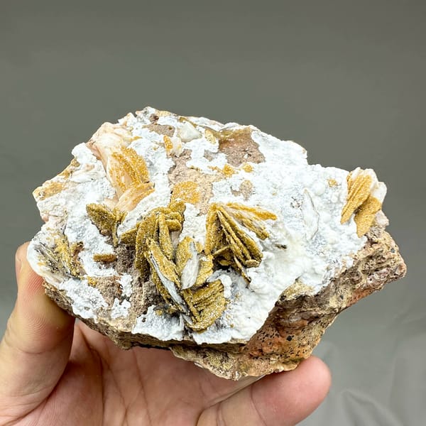 Golden baryte rosettes and white aragonite with mimetite from Morocco, reverse side