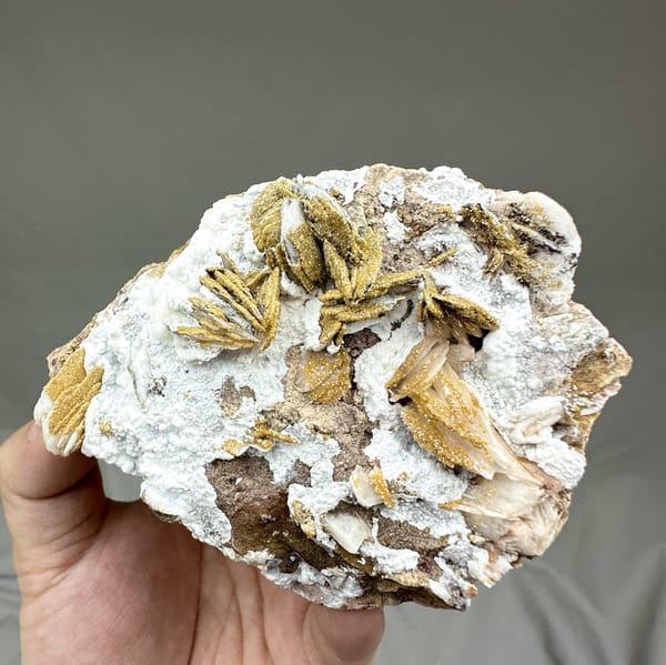 Golden baryte rosettes and white aragonite with mimetite from Morocco, detail of the matrix contact