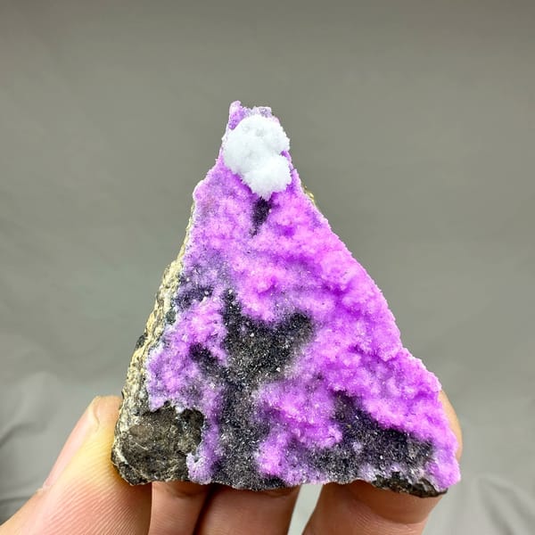 Vivid violet aragonite with white tuft on dark rock from Yunnan, China, held in hand